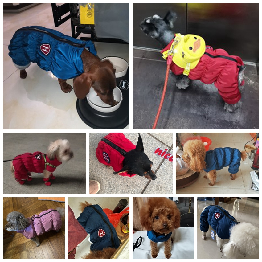 Zipper Snow Unisex Dog Waterpr - Baby Clothing Winter ulasan dan harga